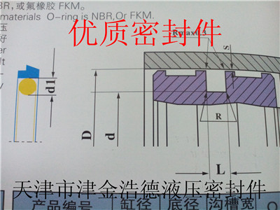 天津地区PTFE材质进口孔用阶梯圈供应商