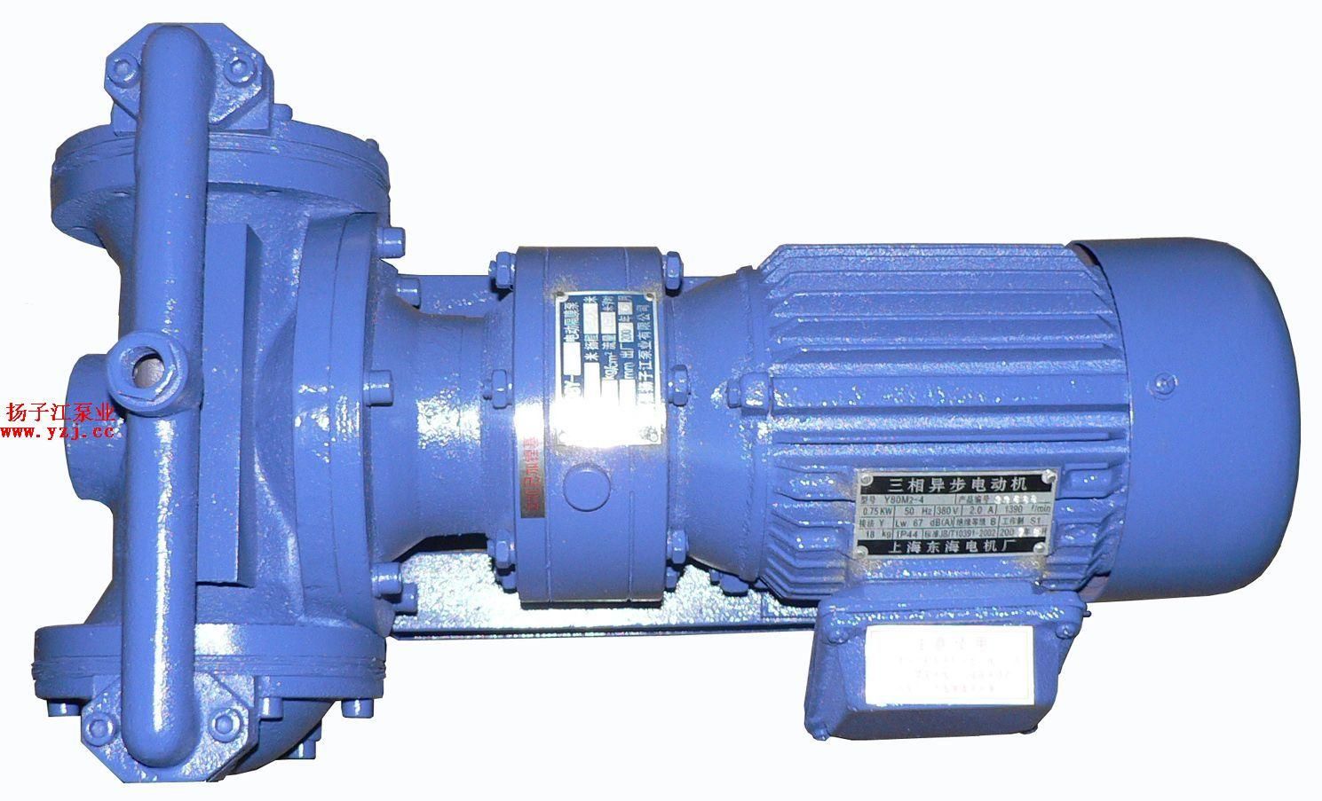 隔膜泵:DBY型不锈钢电动隔膜泵