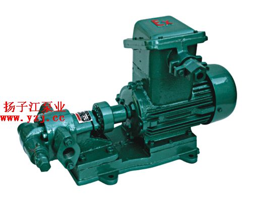 油泵:KCB不锈钢齿轮油泵|不锈钢齿轮泵|不锈钢油泵