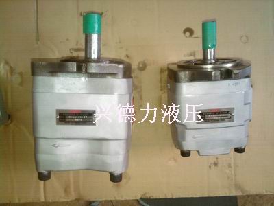 NACHI不二越液压泵IPH-5B-40-11