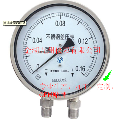 不锈钢压力表，Y-100B,OMVGAR