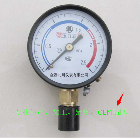氧气压力表，YO-100B,OMVGAR
