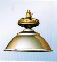 SBF6110免维护防腐工厂灯
