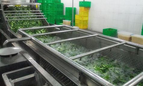 山东青岛生产果蔬清洗机，可订制