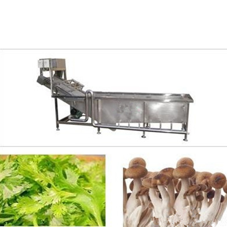 菌类蔬菜气泡清洗机，专业生产清洗机