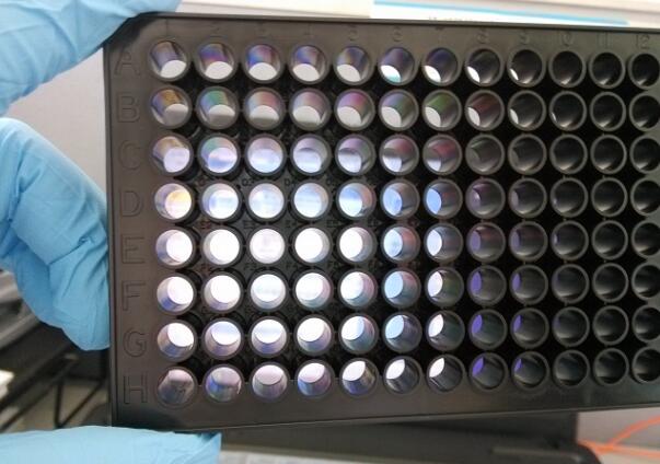 上海晶安黑色96孔不可拆卸透光细胞培养板 全黑底透96孔酶标板
