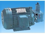 AEEP-HA电机油泵PVF-20-70-10S