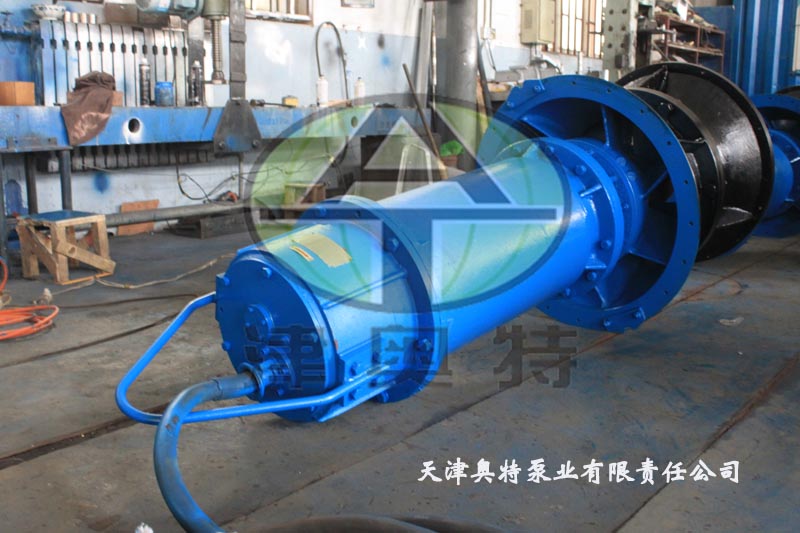 天津轴流潜水泵的维护和保养方法