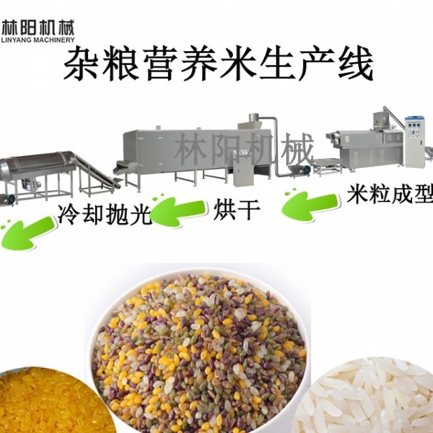 玉米片 营养米 早餐谷物生产线