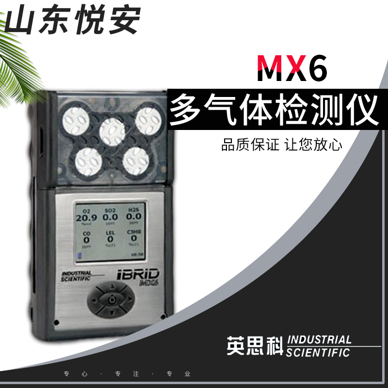 indsci MX6iBrid六合一多气体检测仪英思科代理商现货