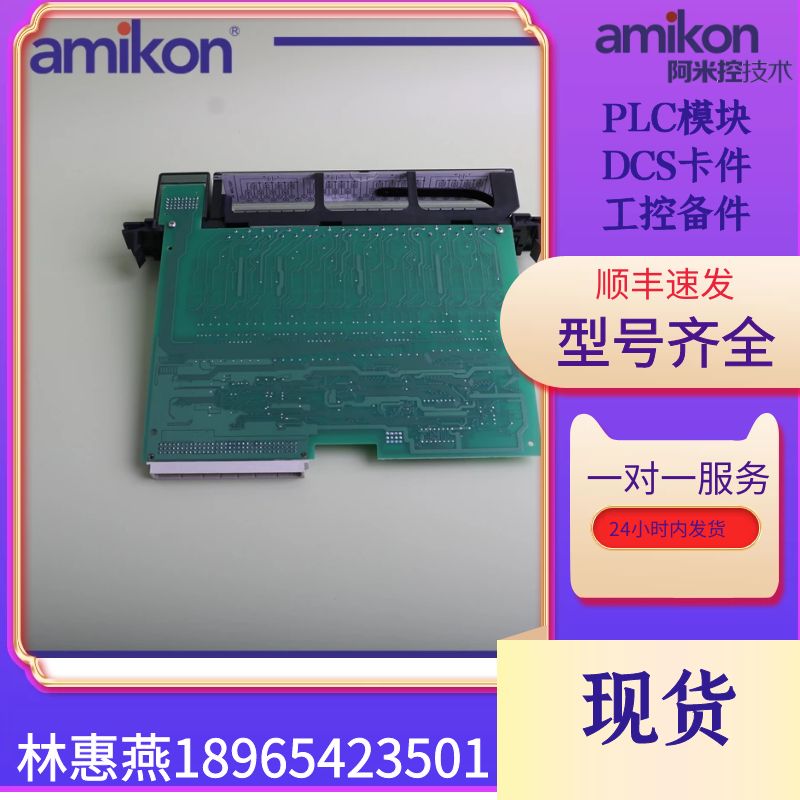 DS200PCCAG8ACB	TSI系统振动卡件