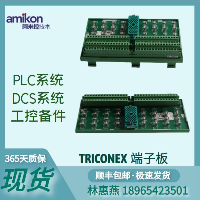 控制系统配件 TRICON控制系统 DI卡 3503E