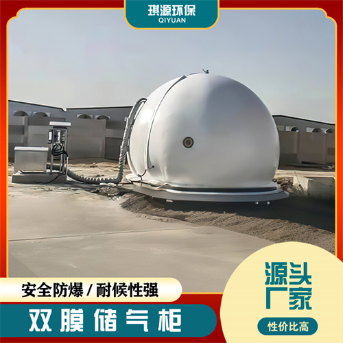 双膜储气柜 沼气工程气体储存设备 球形柔性干式沼气柜