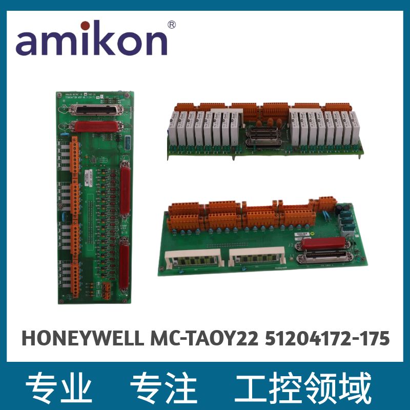 HONEYWELL	10105/2/1输入输出端接组件