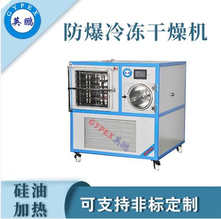 南京工業防爆風冷式凍干機