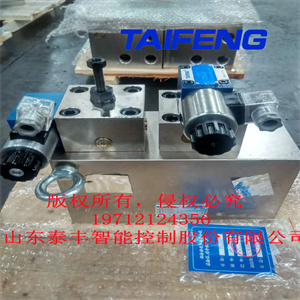 泰豐供應(yīng)THP98C-1000T研配及試模液壓機(jī)二通插裝閥集成系統(tǒng)