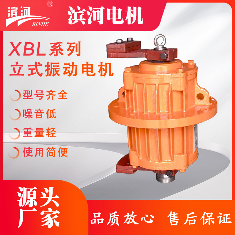 XBL系列立式法蘭式振動電機(jī)濱河電機(jī)