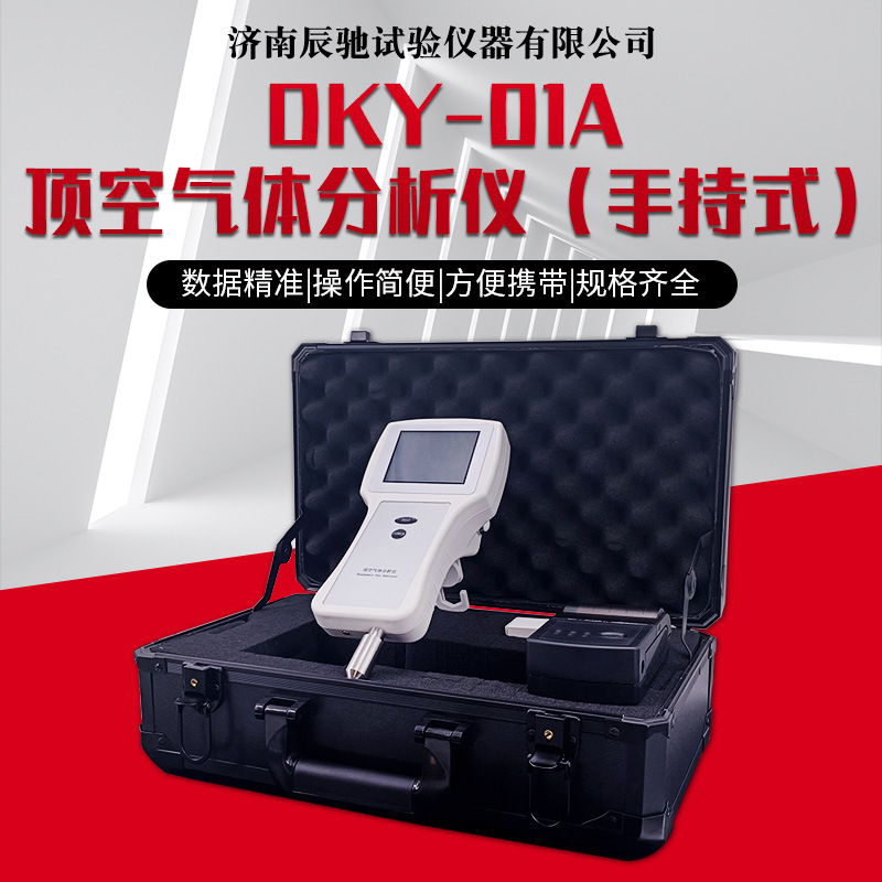 辰驰DKY-01A 顶空气体分析仪（手持式）